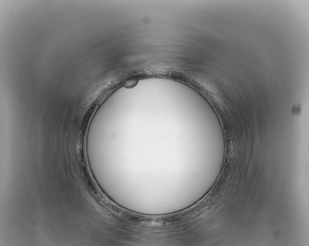 X0000094190687200710260955