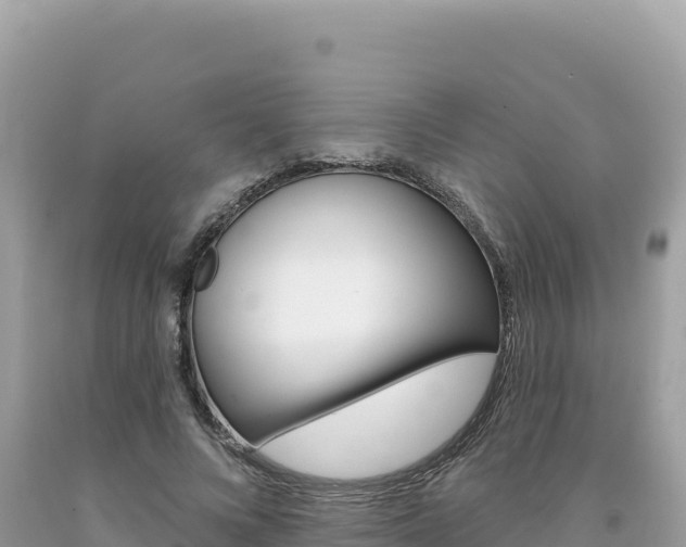 X0000094190688200710260955