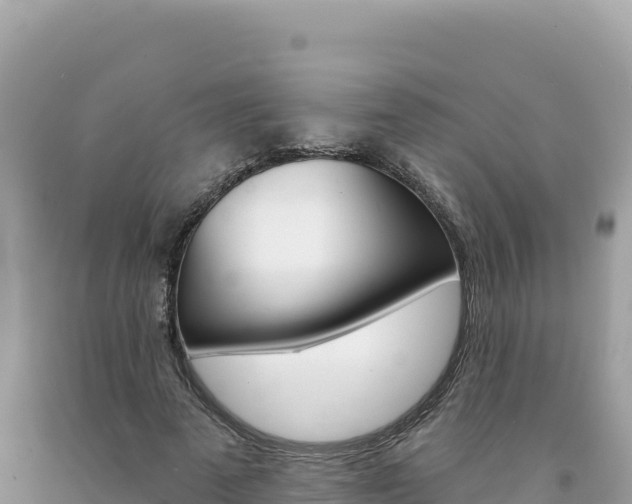 X0000094190689200710260955