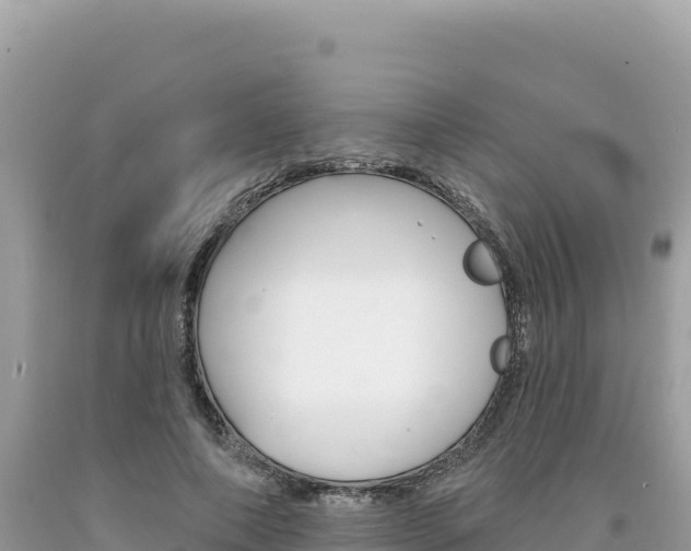 X0000094190690200710260955