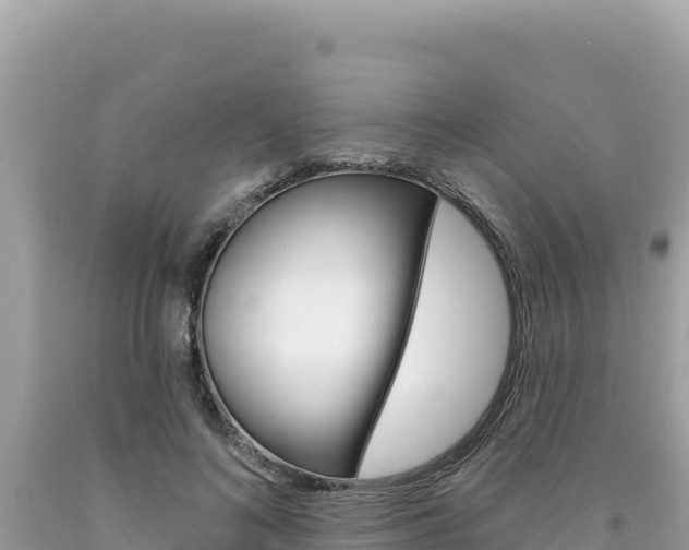 X0000094190692200710260955