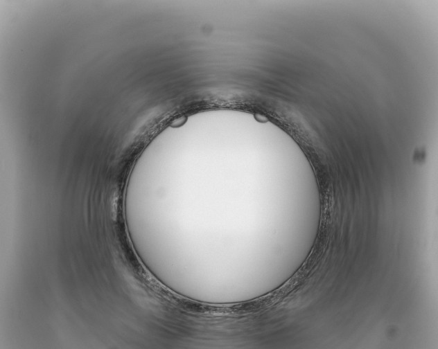 X0000094190694200710260955
