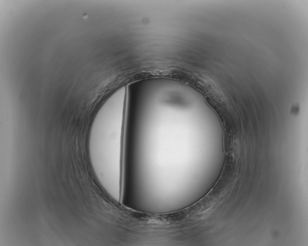 X0000094190697200710260955