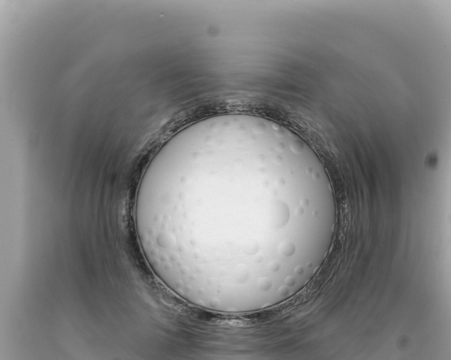 X0000094190698200710260955