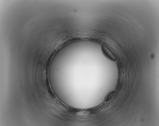 X0000094190700200710260955