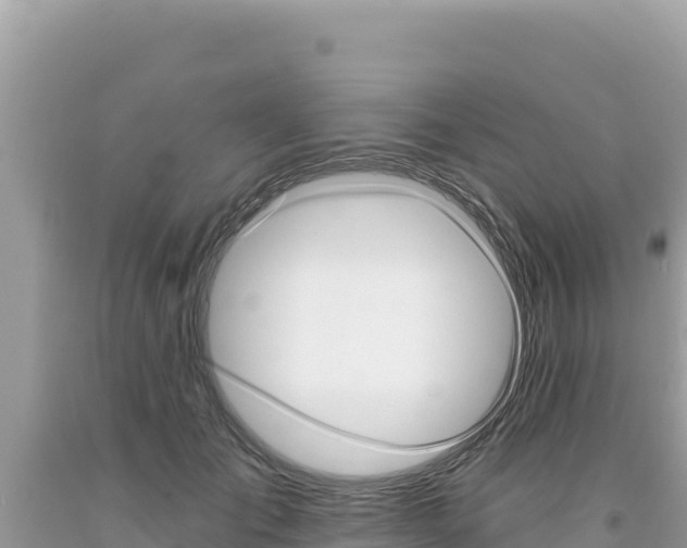 X0000094190701200710260955