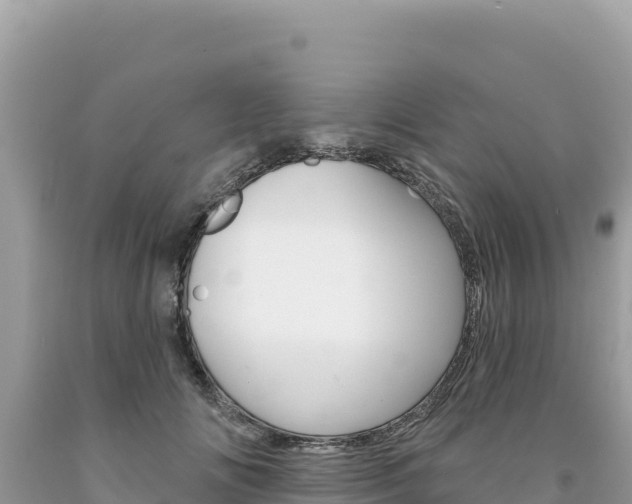 X0000094190702200710260955