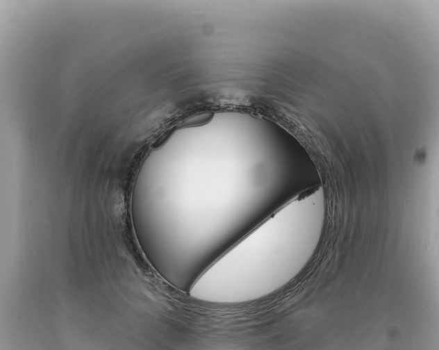 X0000094190704200710260954