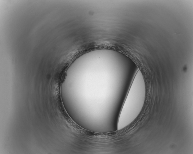X0000094190708200710260954