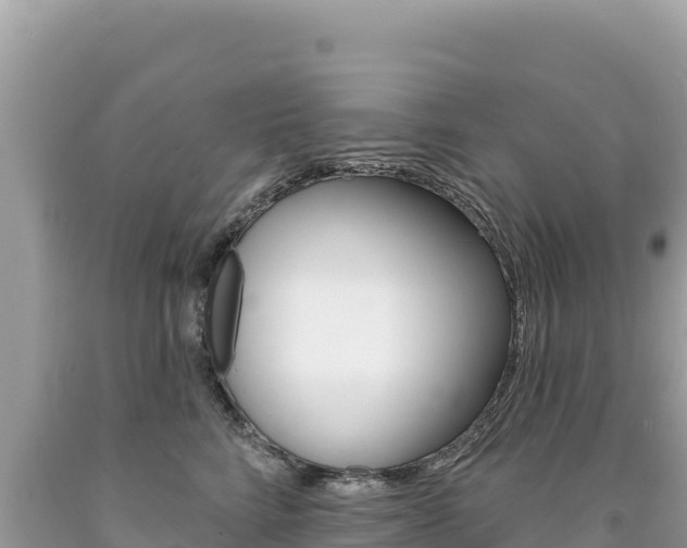 X0000094190712200710260954