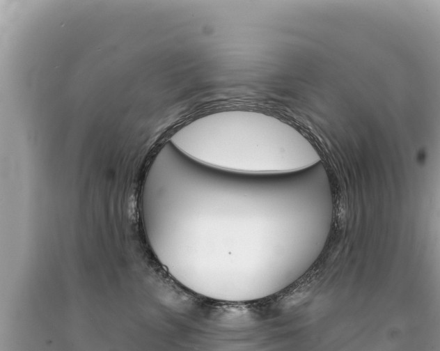 X0000094190715200710260954