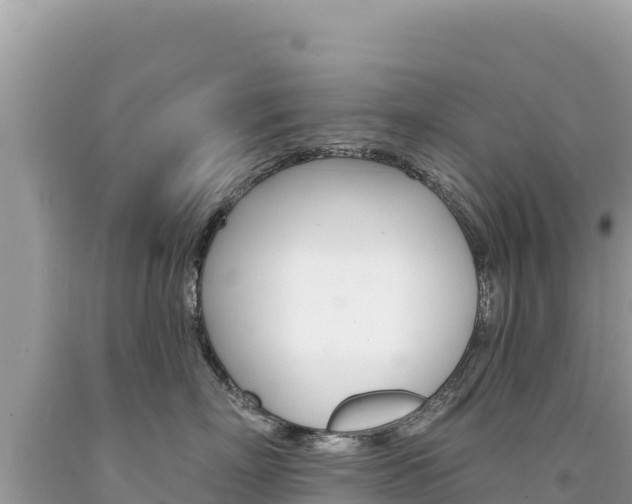X0000094190718200710260954