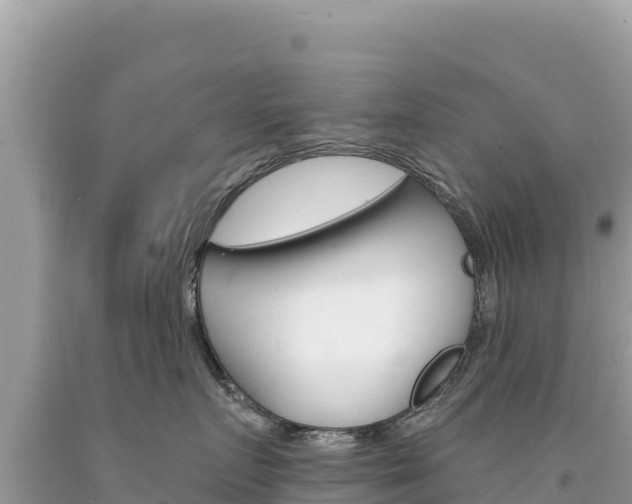 X0000094190719200710260954