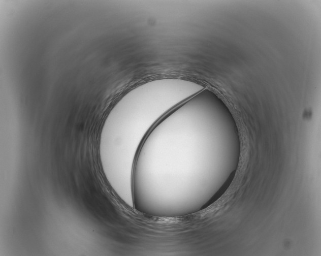 X0000094190720200710260954