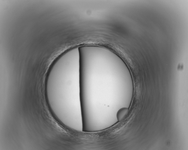X0000094190721200710260954