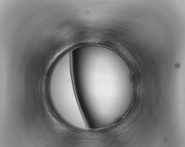 X0000094190722200710260954