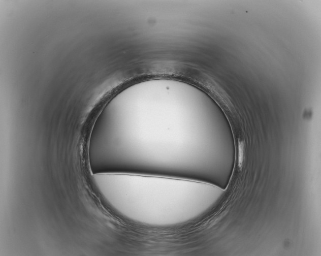 X0000094190723200710260954