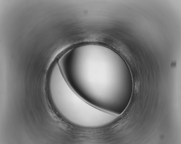 X0000094190724200710260954