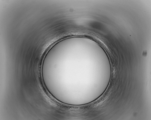 X0000094190725200710260954