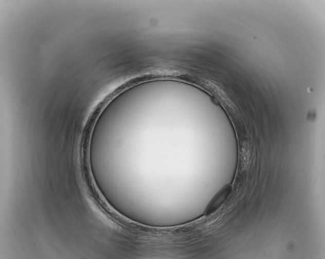X0000094190726200710260954