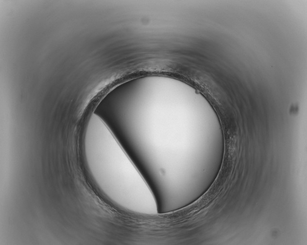 X0000094190727200710260954