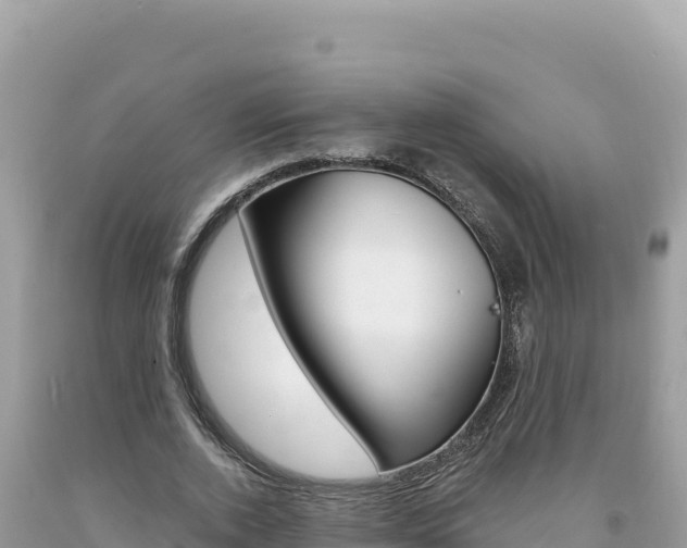 X0000094190728200710260954