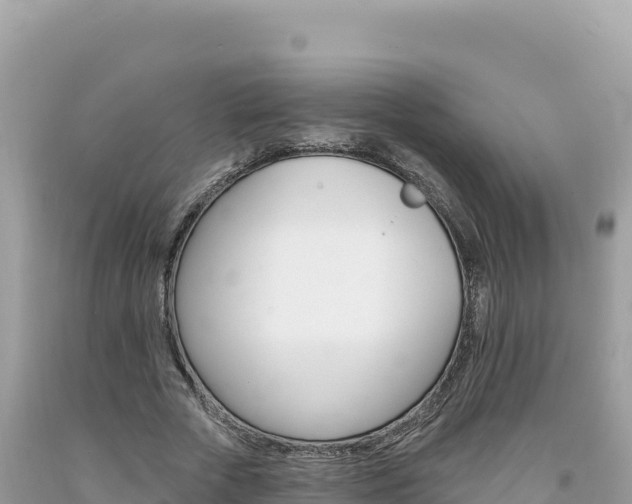 X0000094190729200710260954