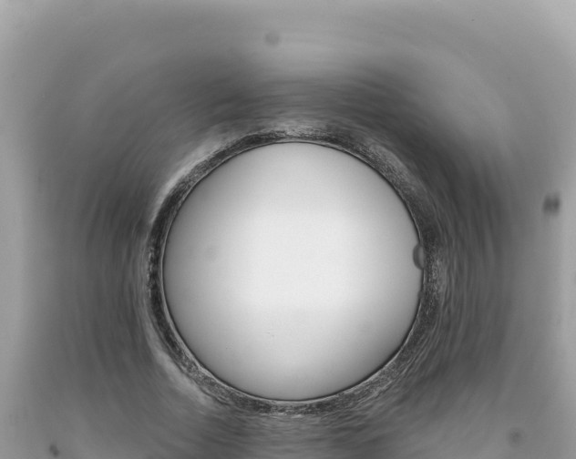 X0000094190730200710260954