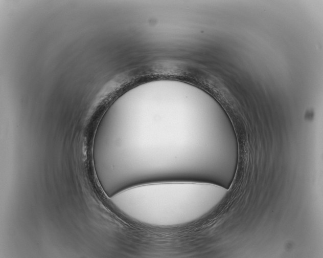 X0000094190731200710260954