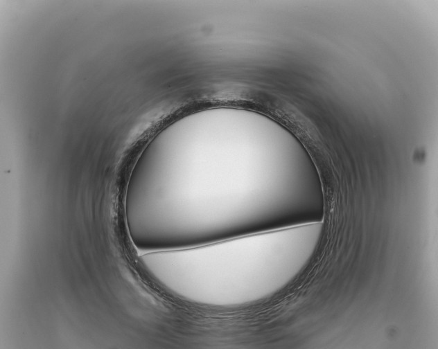 X0000094190732200710260954