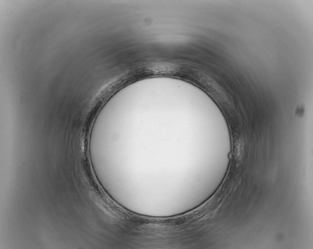 X0000094190733200710260954