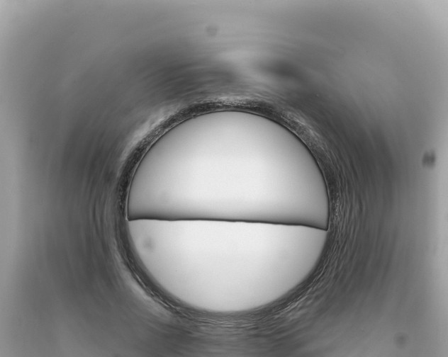 X0000094190734200710260954