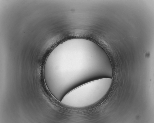 X0000094190735200710260954