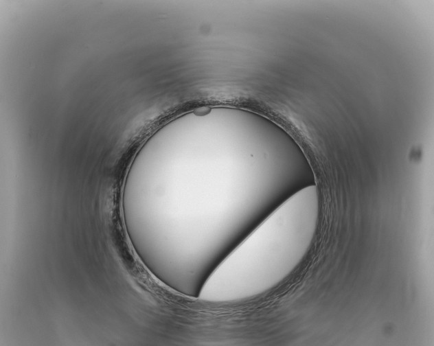 X0000094190736200710260954