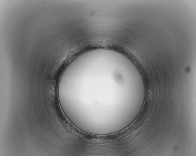 X0000094190739200710260954