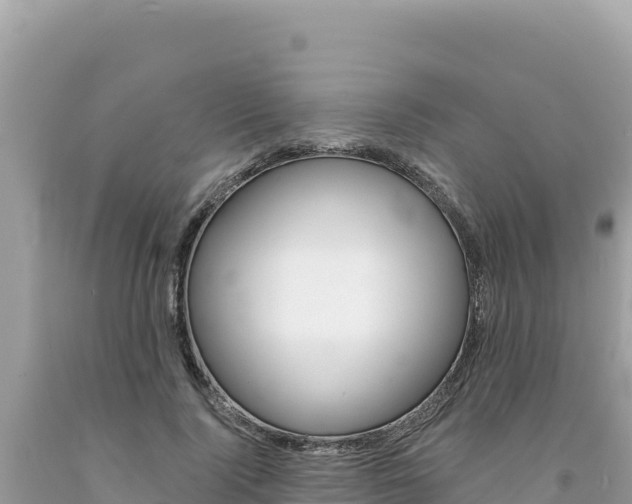 X0000094190740200710260954