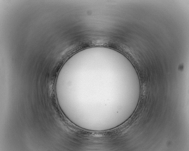X0000094190741200710260954