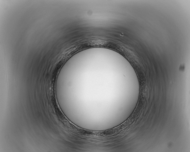 X0000094190743200710260954