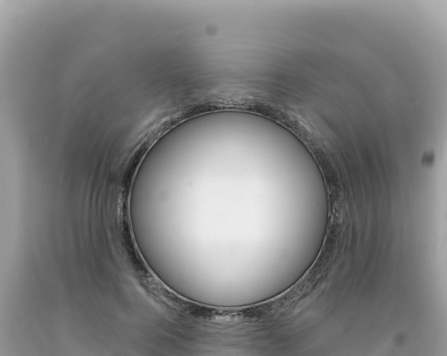 X0000094190744200710260954