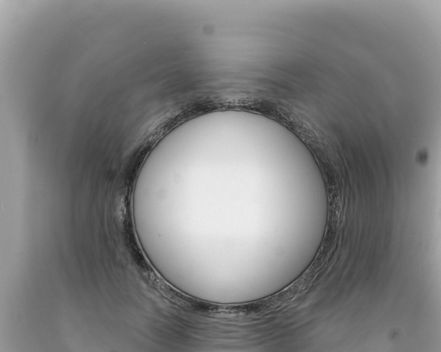 X0000094190746200710260954