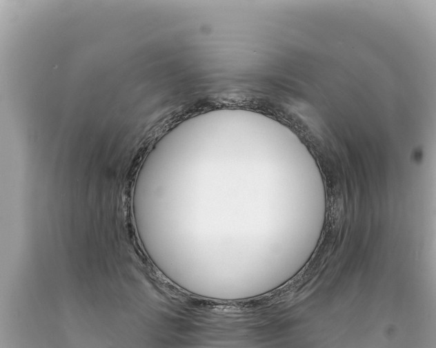 X0000094190749200710260954