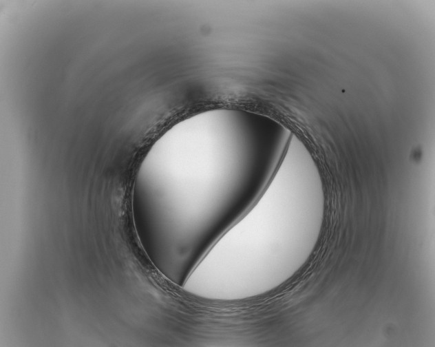 X0000094190750200710260954