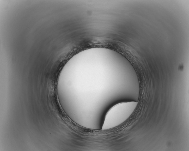 X0000094190751200710260954