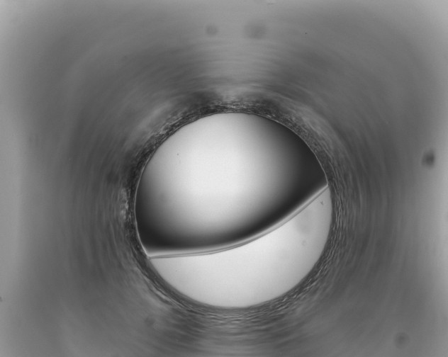 X0000094190752200710260954