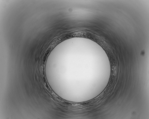 X0000094190753200710260954