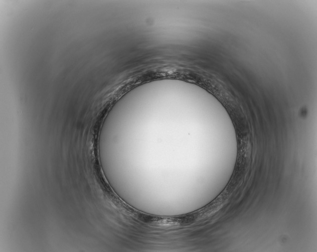 X0000094190754200710260954