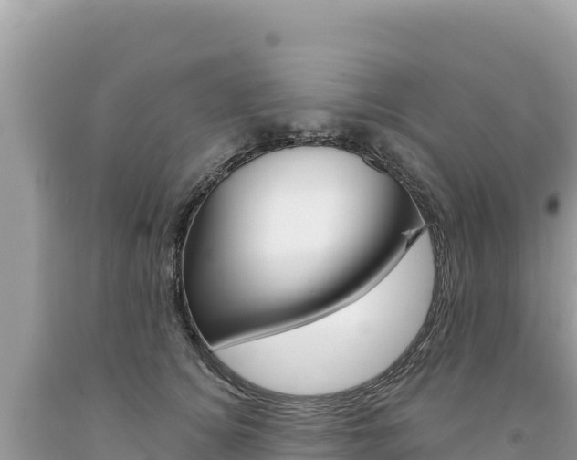 X0000094190756200710260954