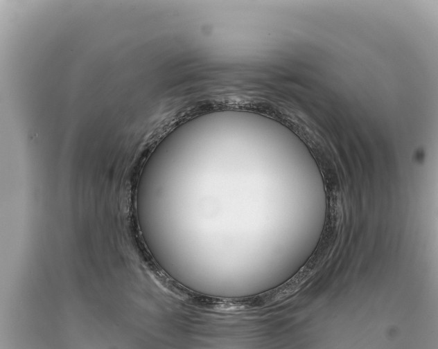 X0000094190760200710260954