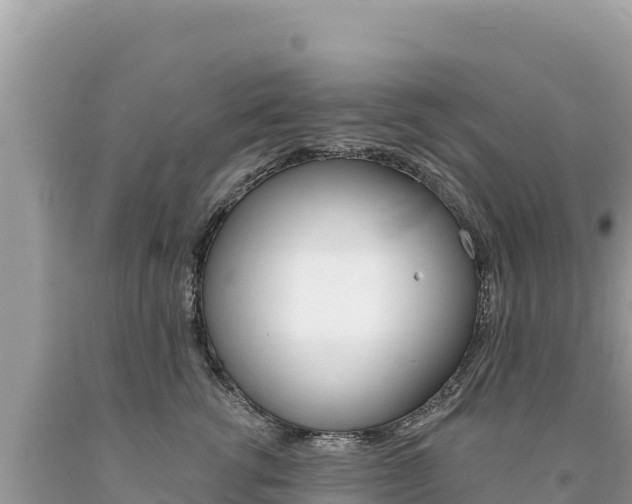 X0000094190762200710260954