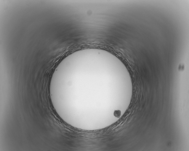 X0000094190769200710260954